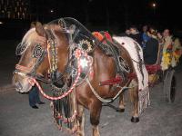 antoni06.jpg