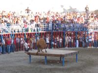 fiestas05.jpg