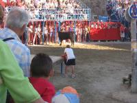 fiestas06.jpg