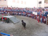 fiestas10.jpg